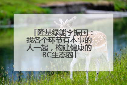 隆基绿能李振国：找各个环节有本事的人一起，构建健康的BC生态圈