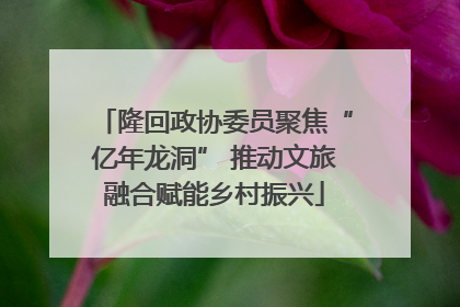 隆回政协委员聚焦“亿年龙洞” 推动文旅融合赋能乡村振兴