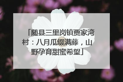 随县三里岗镇贾家湾村：八月瓜缀满藤，山野孕育甜蜜希望