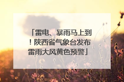 雷电、暴雨马上到！陕西省气象台发布雷雨大风黄色预警
