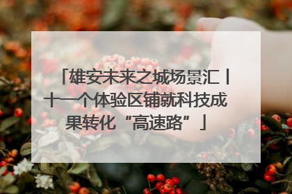 雄安未来之城场景汇丨十一个体验区铺就科技成果转化“高速路”