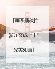 雨季插秧忙 浙江文成“丰”光美如画