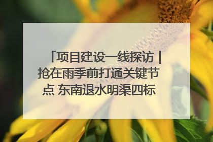 项目建设一线探访｜抢在雨季前打通关键节点 东南退水明渠四标段项目顺利完工