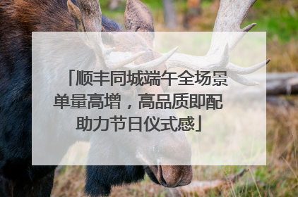 顺丰同城端午全场景单量高增，高品质即配助力节日仪式感