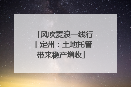 风吹麦浪一线行丨定州：土地托管带来稳产增收