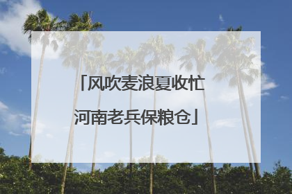 风吹麦浪夏收忙 河南老兵保粮仓