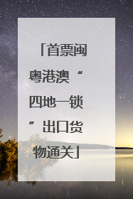 首票闽粤港澳“四地一锁”出口货物通关