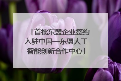 首批东盟企业签约入驻中国—东盟人工智能创新合作中心