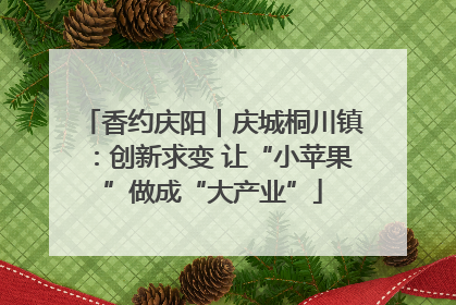 香约庆阳｜庆城桐川镇：创新求变 让“小苹果”做成“大产业”