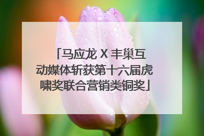 马应龙 X 丰巢互动媒体斩获第十六届虎啸奖联合营销类铜奖