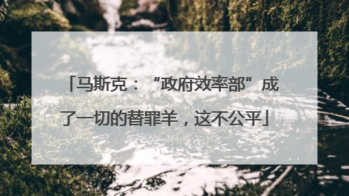 马斯克：“政府效率部”成了一切的替罪羊，这不公平