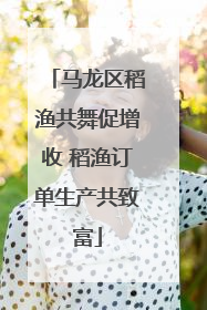 马龙区稻渔共舞促增收 稻渔订单生产共致富