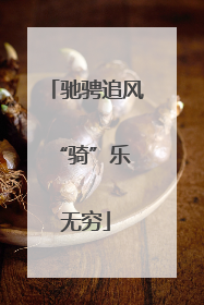 驰骋追风 “骑”乐无穷