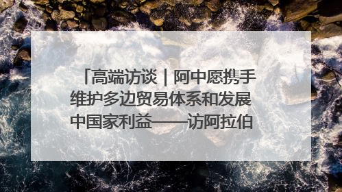 高端访谈｜阿中愿携手维护多边贸易体系和发展中国家利益——访阿拉伯议会议长亚马希