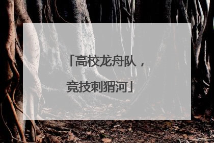 高校龙舟队，竞技刺猬河