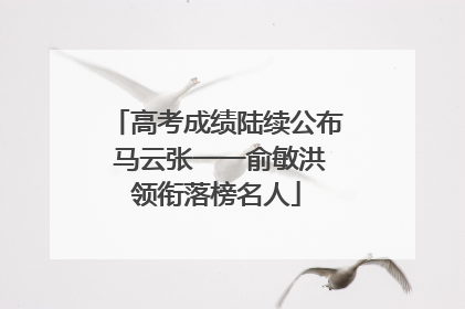 高考成绩陆续公布 马云张一一俞敏洪领衔落榜名人