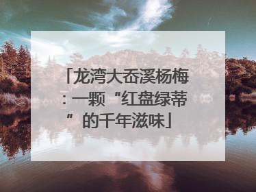 龙湾大岙溪杨梅：一颗“红盘绿蒂”的千年滋味