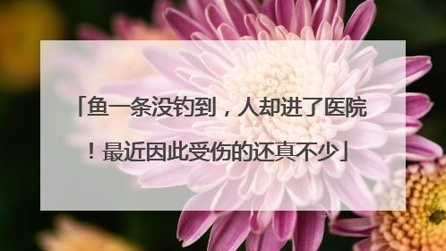 鱼一条没钓到，人却进了医院！最近因此受伤的还真不少