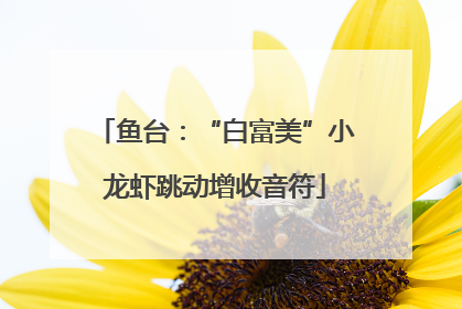 鱼台：“白富美”小龙虾跳动增收音符
