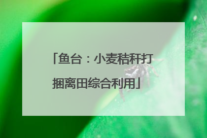 鱼台：小麦秸秆打捆离田综合利用