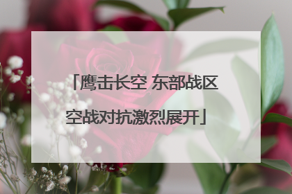 鹰击长空 东部战区空战对抗激烈展开