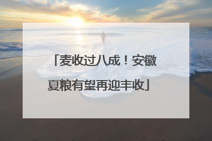 麦收过八成！安徽夏粮有望再迎丰收