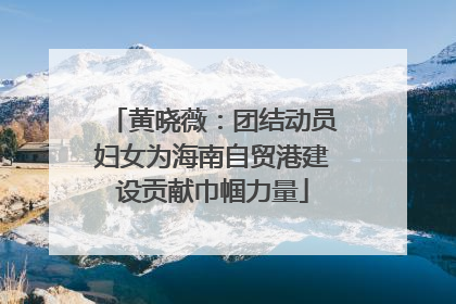 黄晓薇：团结动员妇女为海南自贸港建设贡献巾帼力量