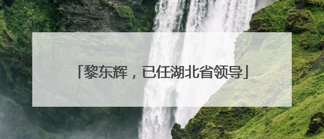 黎东辉，已任湖北省领导