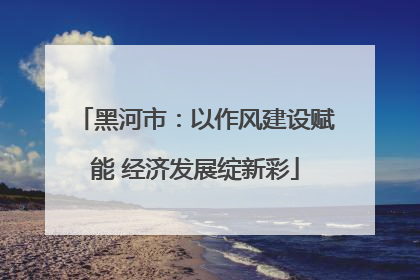 黑河市：以作风建设赋能 经济发展绽新彩