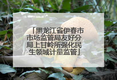 黑龙江省伊春市市场监管局友好分局上甘岭所强化民生领域计量监管
