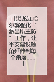 黑龙江哈尔滨强化“派出所主防”工作，让平安建设触角延伸到每个角落……