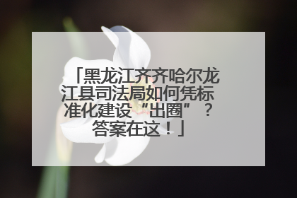 黑龙江齐齐哈尔龙江县司法局如何凭标准化建设“出圈”？答案在这！