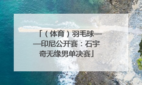 （体育）羽毛球——印尼公开赛：石宇奇无缘男单决赛