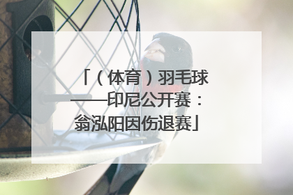 （体育）羽毛球——印尼公开赛：翁泓阳因伤退赛