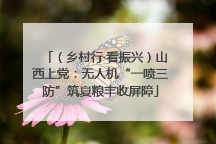 （乡村行·看振兴）山西上党：无人机“一喷三防”筑夏粮丰收屏障