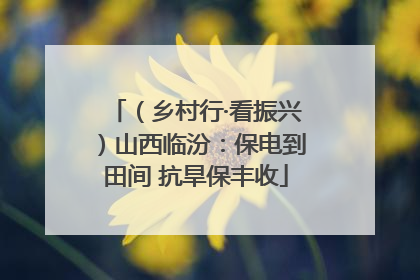 （乡村行·看振兴）山西临汾：保电到田间 抗旱保丰收