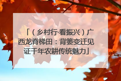 （乡村行·看振兴）广西龙脊梯田：背篓变迁见证千年农耕传统魅力