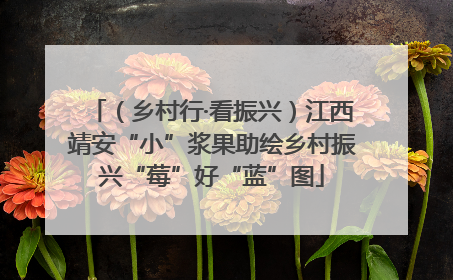 （乡村行·看振兴）江西靖安“小”浆果助绘乡村振兴“莓”好“蓝”图