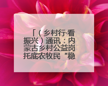 （乡村行·看振兴）通讯：内蒙古乡村公益岗托底农牧民“稳稳的幸福”