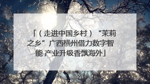 （走进中国乡村）“茉莉之乡”广西横州借力数字智能 产业升级香飘海外