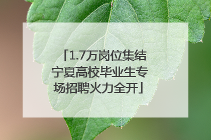 1.7万岗位集结 宁夏高校毕业生专场招聘火力全开