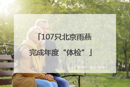 107只北京雨燕完成年度“体检”
