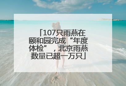 107只雨燕在颐和园完成“年度体检”，北京雨燕数量已超一万只