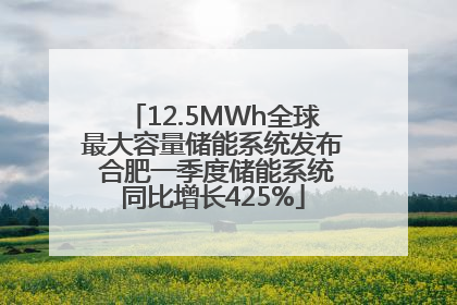 12.5MWh全球最大容量储能系统发布 合肥一季度储能系统同比增长425%