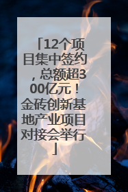 12个项目集中签约，总额超300亿元！金砖创新基地产业项目对接会举行