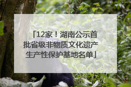 12家！湖南公示首批省级非物质文化遗产生产性保护基地名单