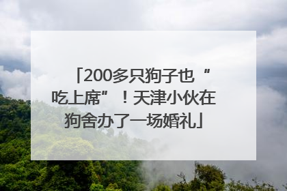 200多只狗子也“吃上席”！天津小伙在狗舍办了一场婚礼