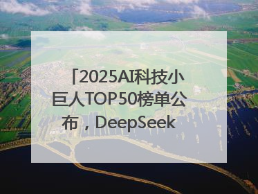 2025AI科技小巨人TOP50榜单公布，DeepSeek、宇树科技、蘑菇车联等企业荣誉上榜