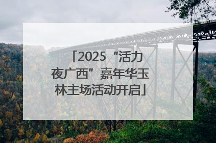 2025“活力夜广西”嘉年华玉林主场活动开启