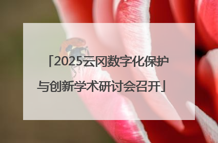 2025云冈数字化保护与创新学术研讨会召开